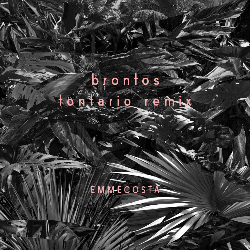 single-cover-brontos-remix_hi-res